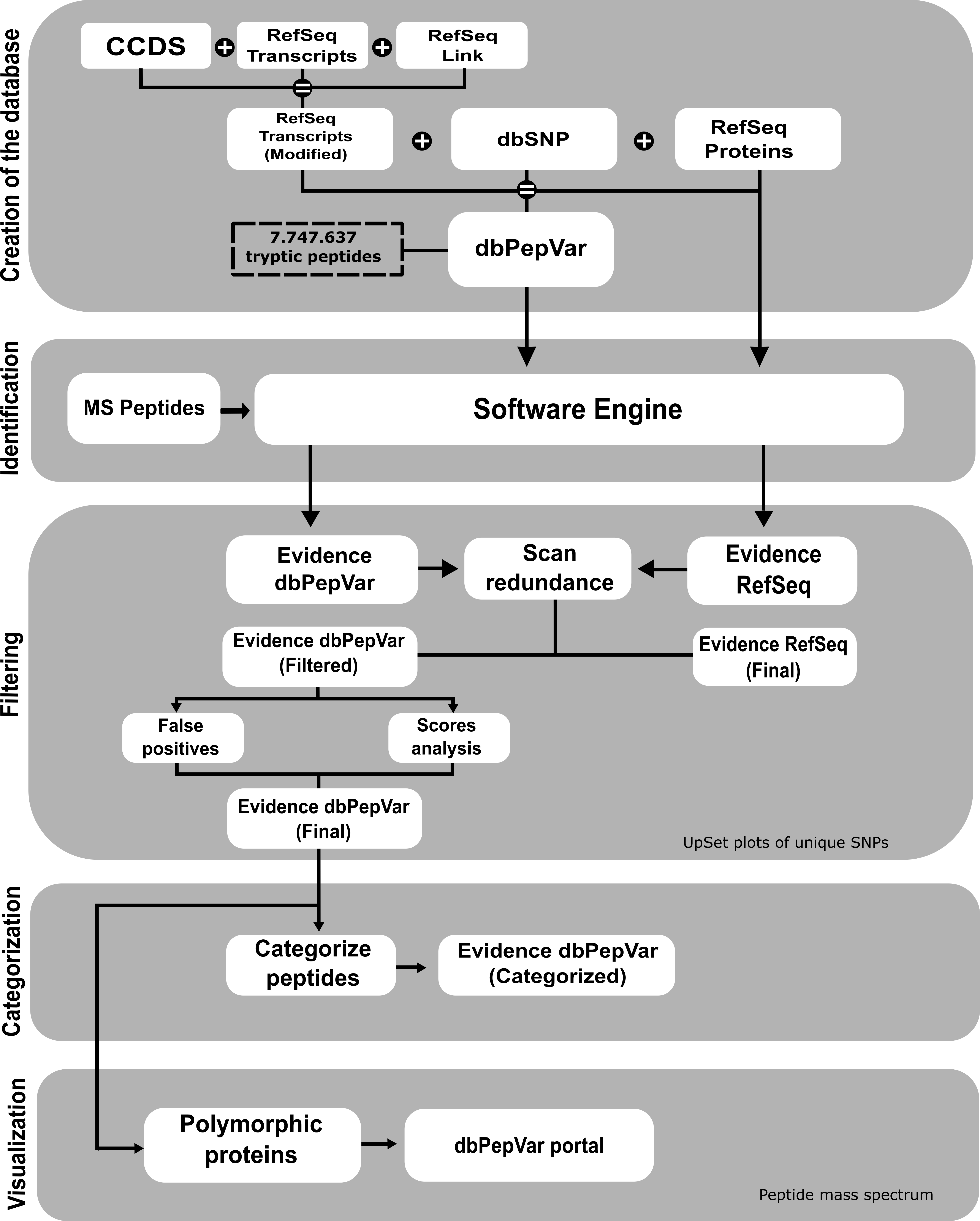 Figure 1. Workflow of dbPepVar