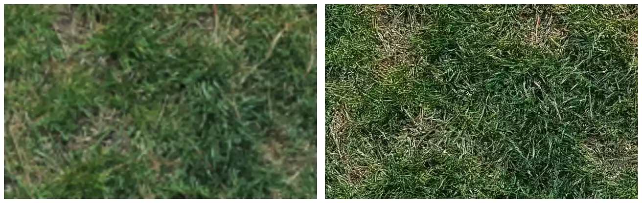 docs/enhance-grass.webp