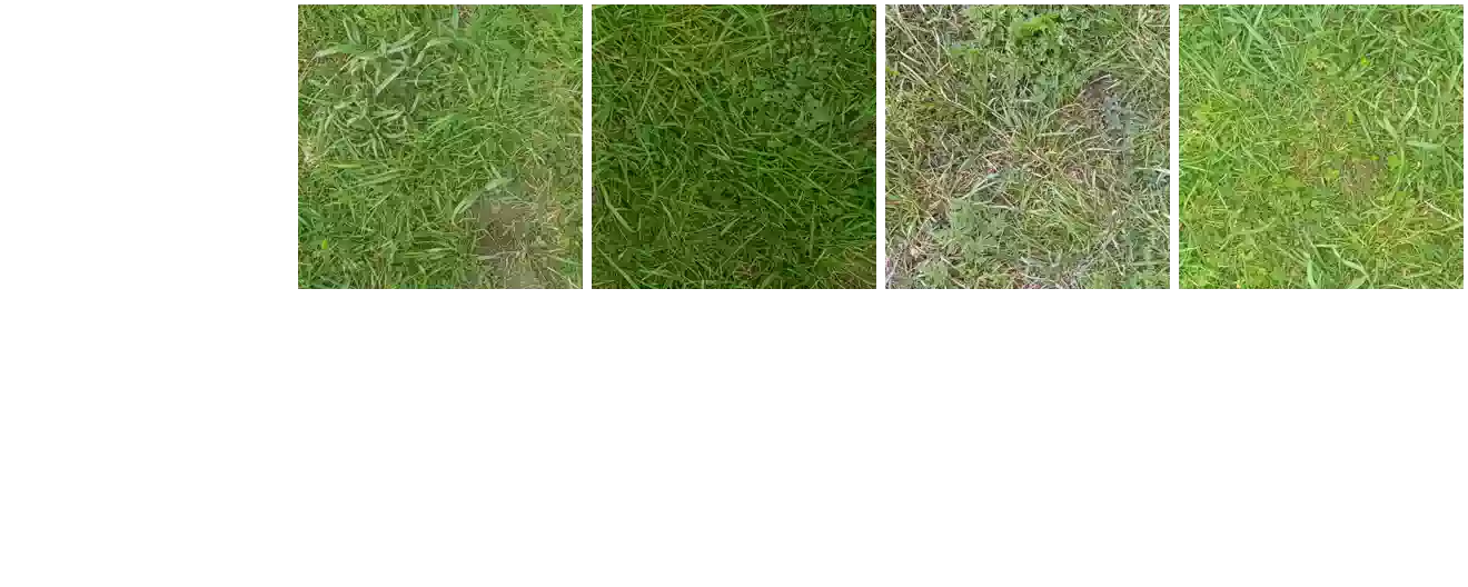 docs/remake-grass.webp