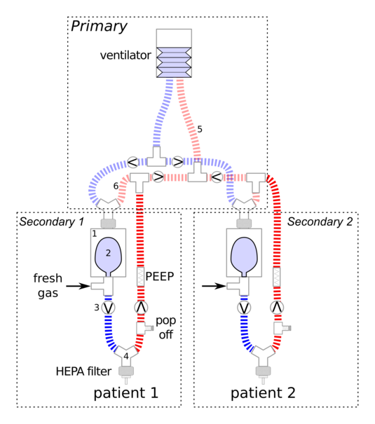 Cerberus Schematic