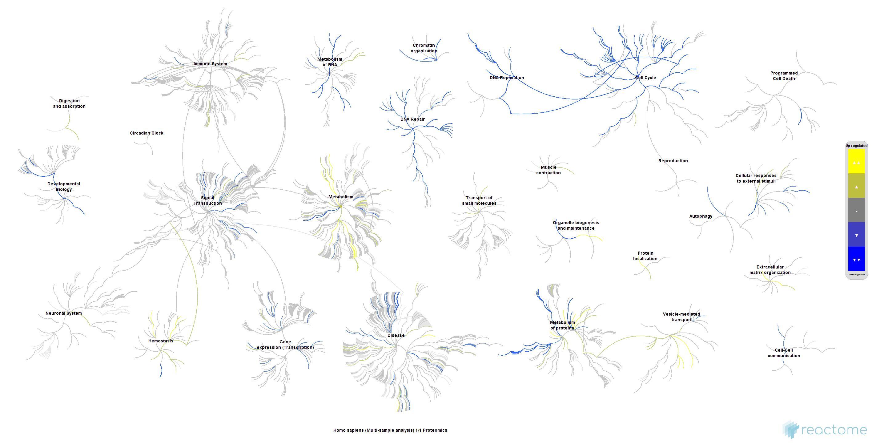 Figure 1: Fireworks plot depicting genome-wide view of reactome pathways.