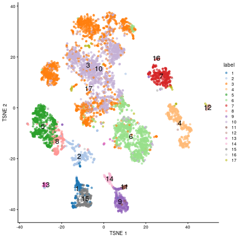 tSNE embedding of scRNA-Seq data.