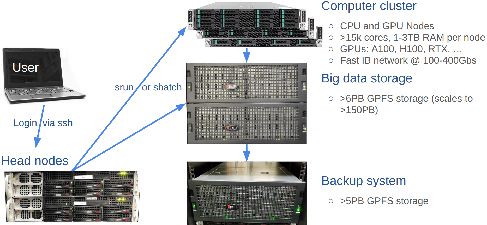 __Fig 1: Cluster Overview.__ Users log in from their local systems to one of the head nodes via SSH. From there, computing tasks are submitted to computing nodes (sbatch or srun), and data is stored on a central big data storage system.