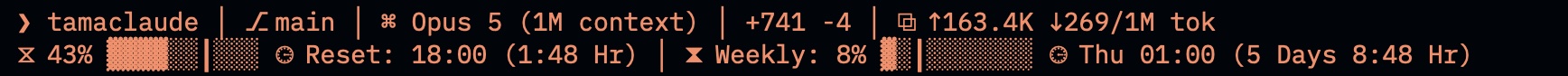 The statusline the app draws: directory, branch, model, changed lines, token count, then the 5-hour and weekly quota bars with a pace mark and a reset countdown