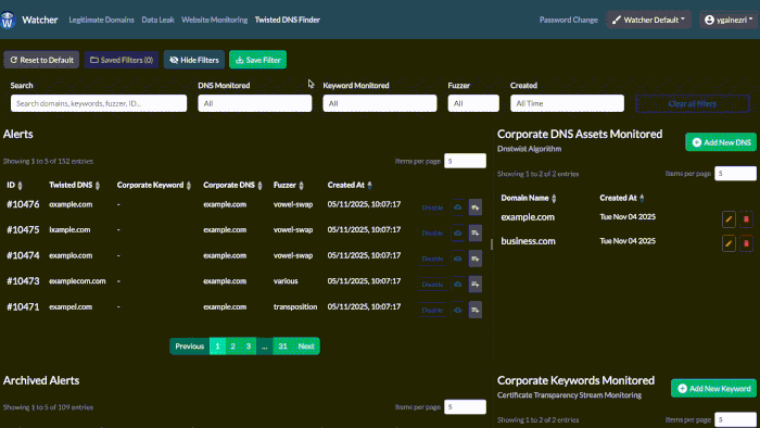 Suspicious domain names detection