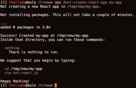 example run of dont-create-react-app