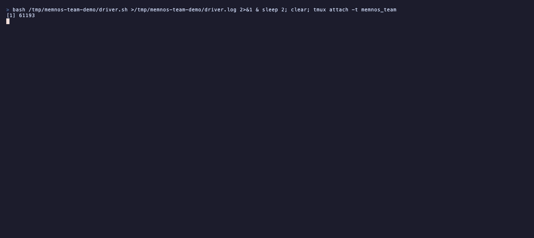 Shared team memory across two memnos CLI sessions