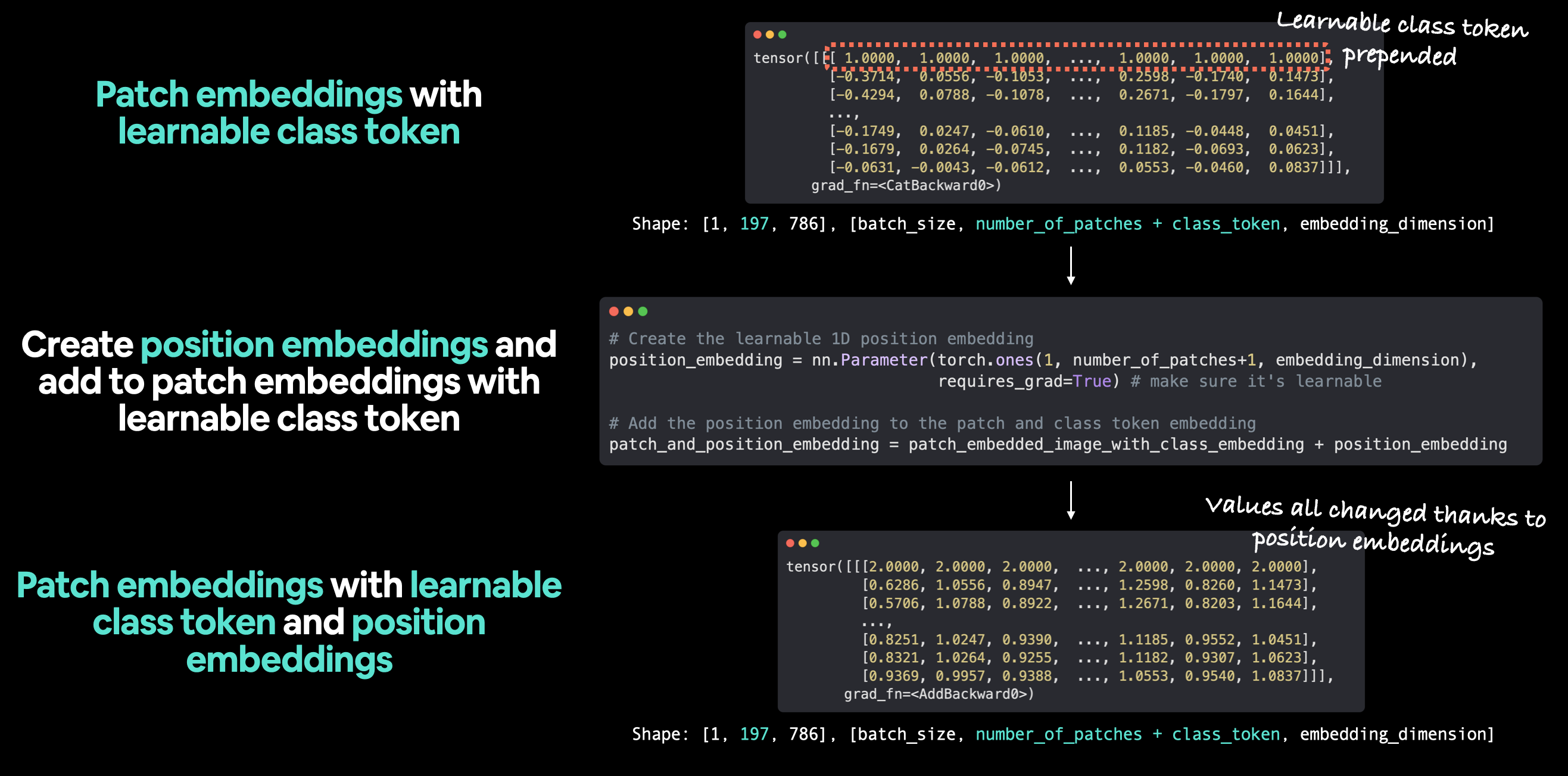 patch embeddings with learnable class token and position embeddings