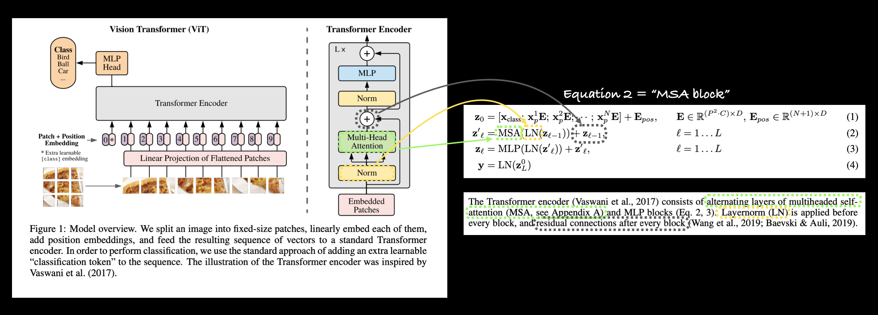 mapping equation 2 from the ViT paper to the ViT architecture diagram in figure 1