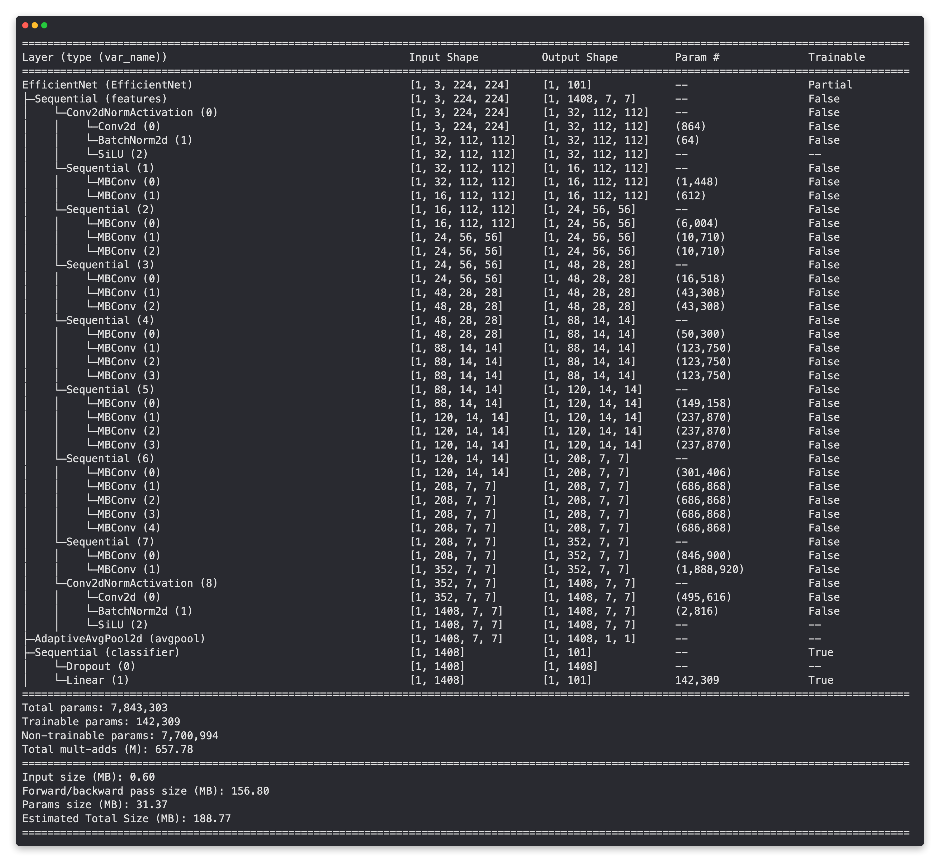 effnetb2 feature extractor with 100 output classes model summary