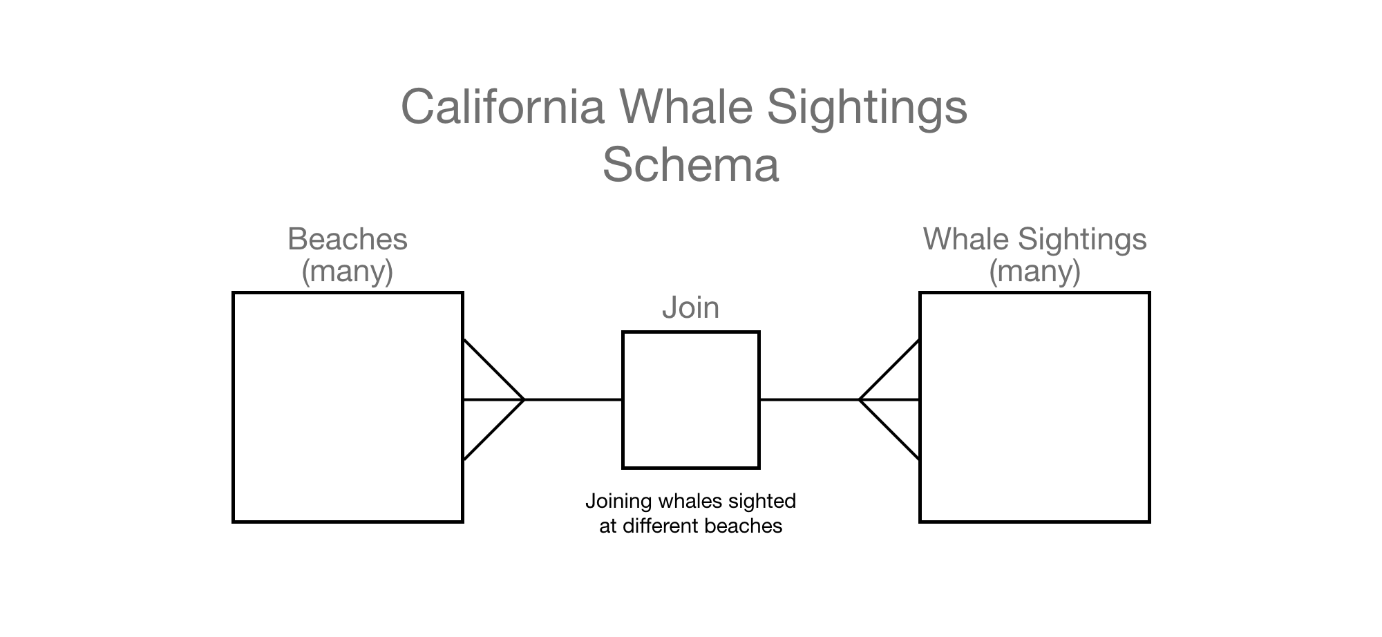 Whale Watchers Schema Diagram