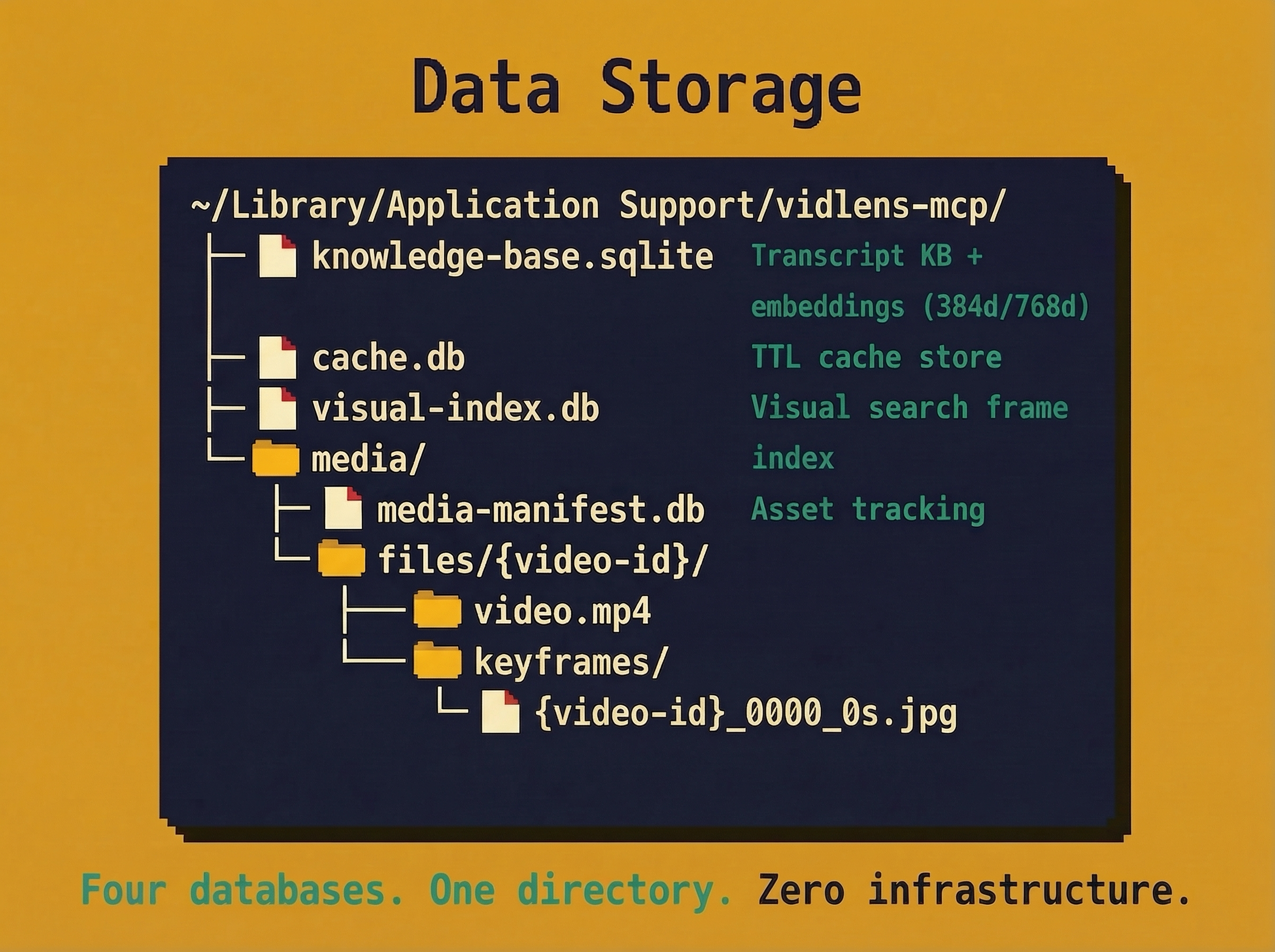 VidLens Data Storage