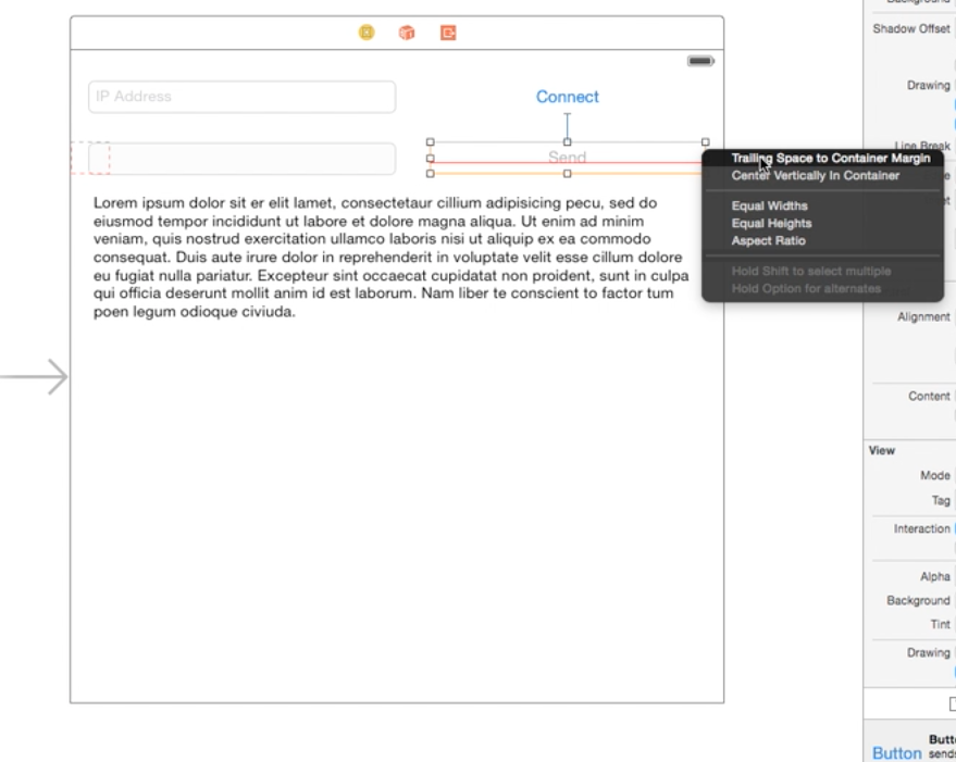 Label and the Text Field