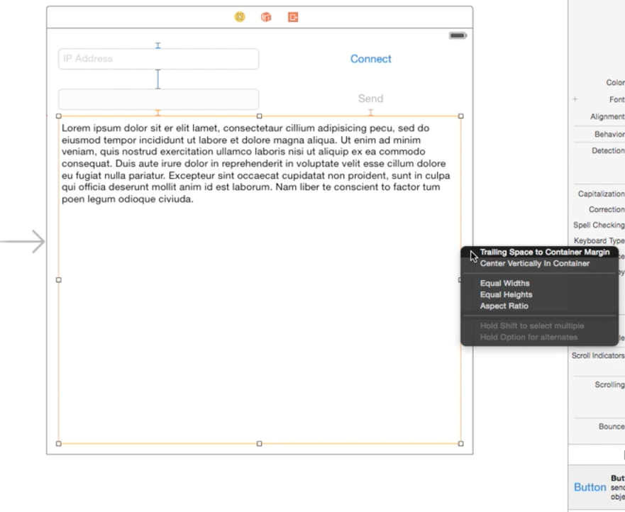 Label and the Text Field Constraint