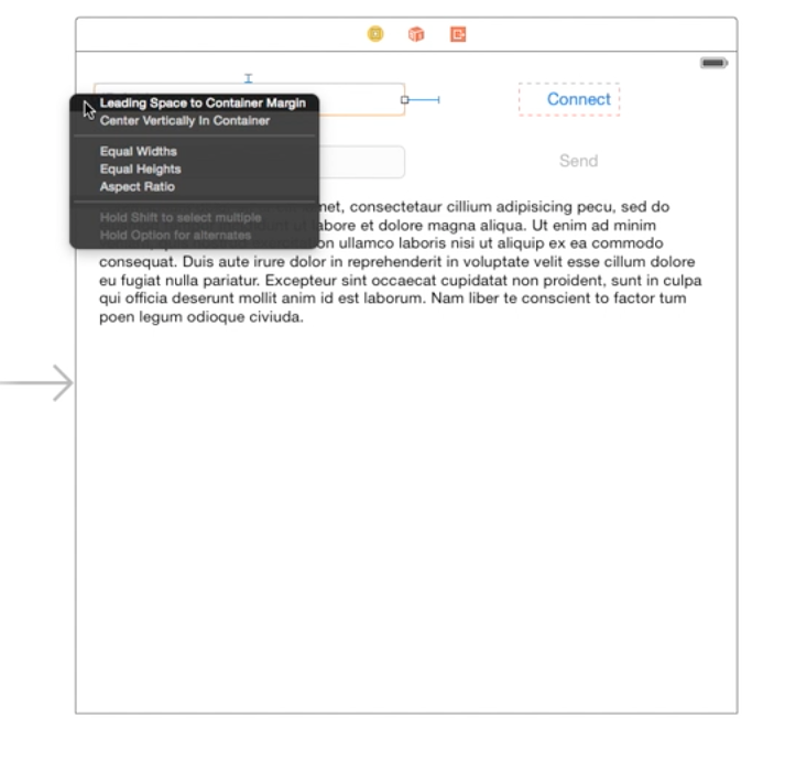 Label and the Text Field