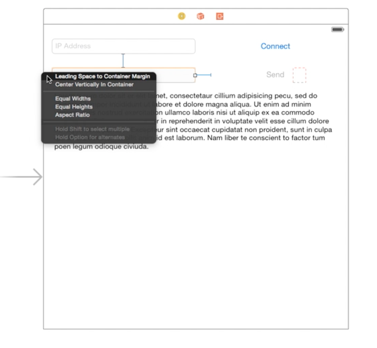 Button and the Text Field Constraint