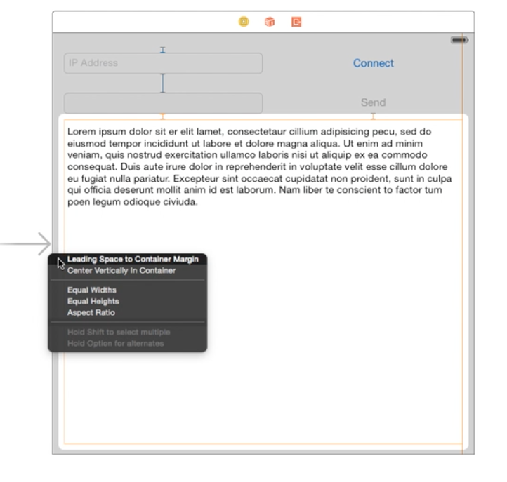 Label and the Text Field Constraint