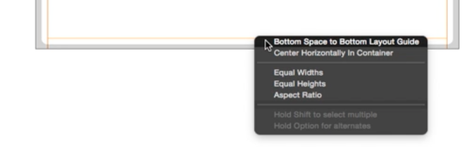 Button and the Text Field Constraint