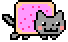 Cat!