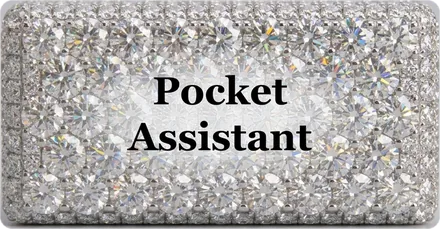 Pocket Assistant