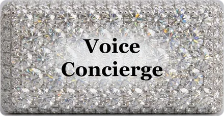 Voice Concierge