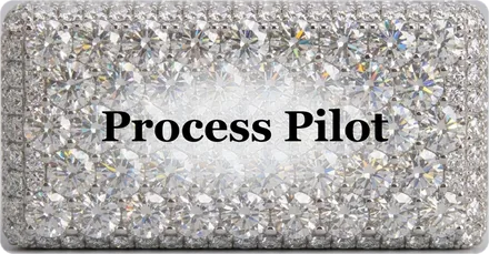 Process Pilot