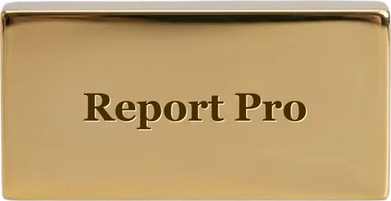Report Pro