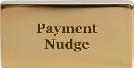 Payment Nudge