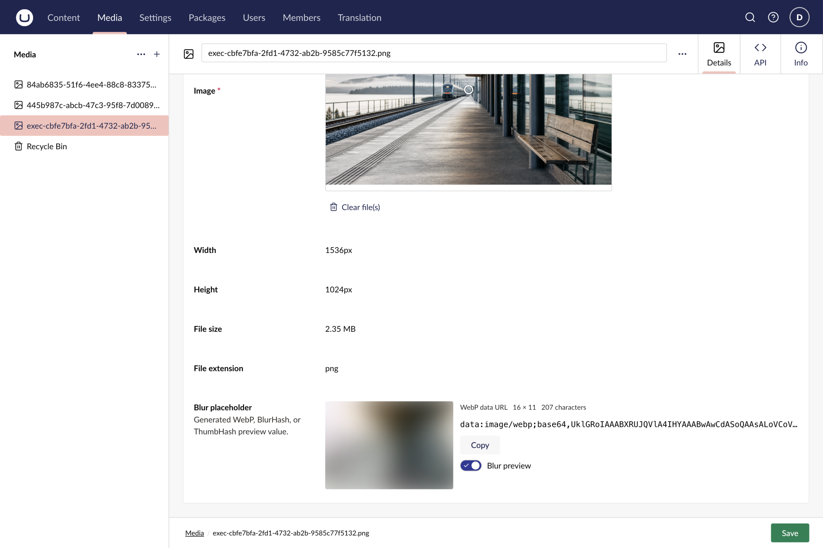 Preview and copy a generated placeholder from an Image media item