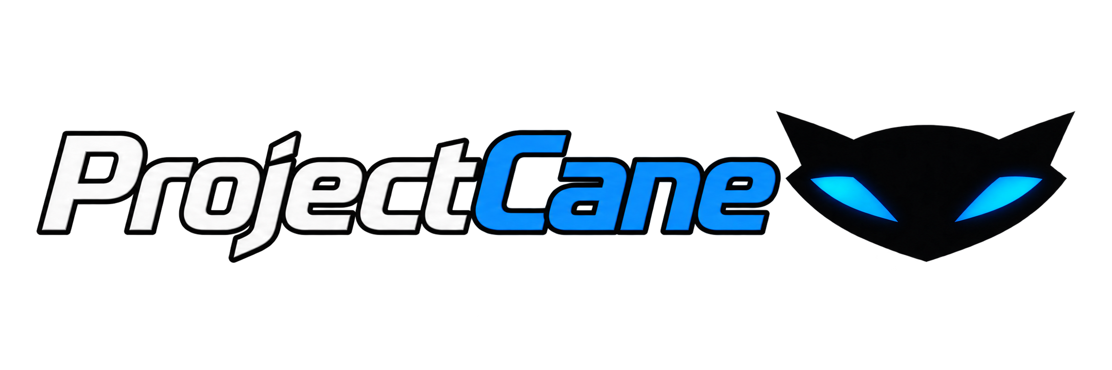 ProjectCane
