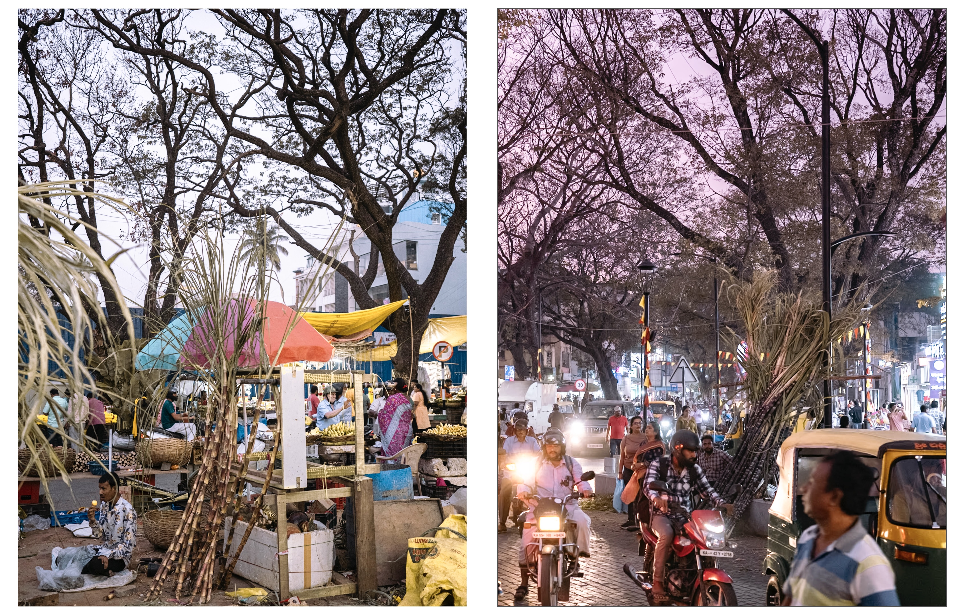 Sankranti Day at Gandhi Bazaar. National College Metro Station (Green Line)