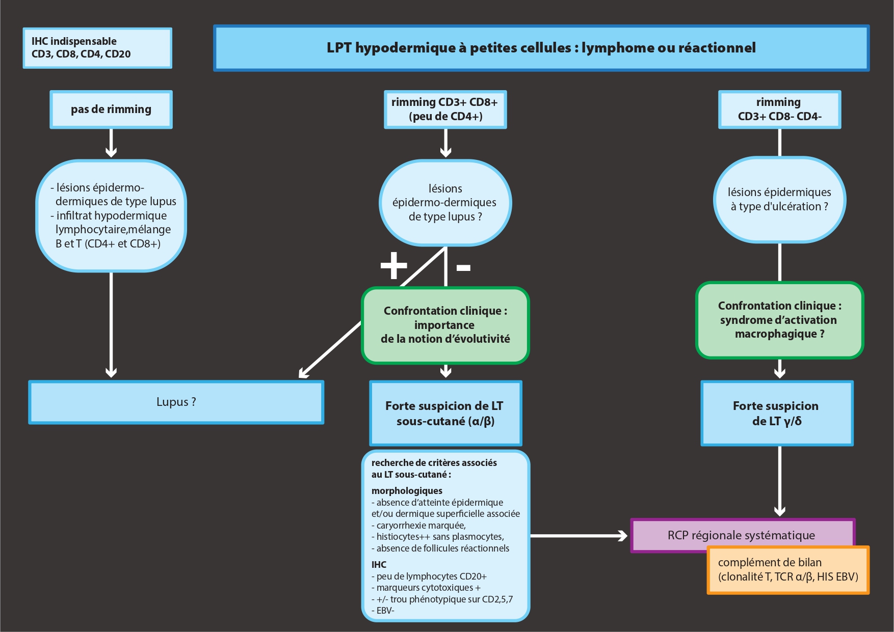 https://raw.githubusercontent.com/mathias2a/mathias2a.github.io/main/lymphoprolif%20B%20petites%20cellules.jpg