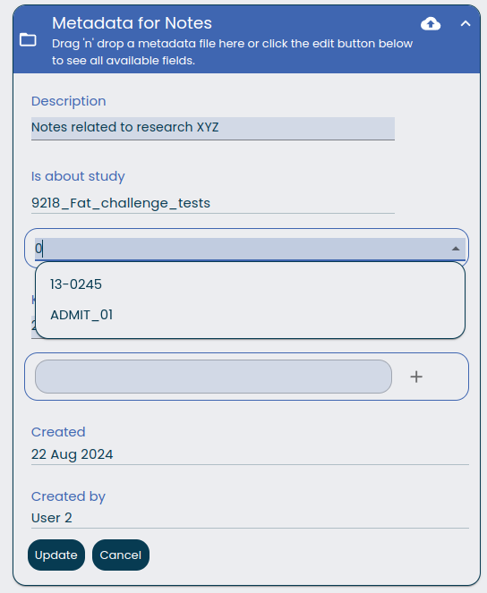 Metadata form