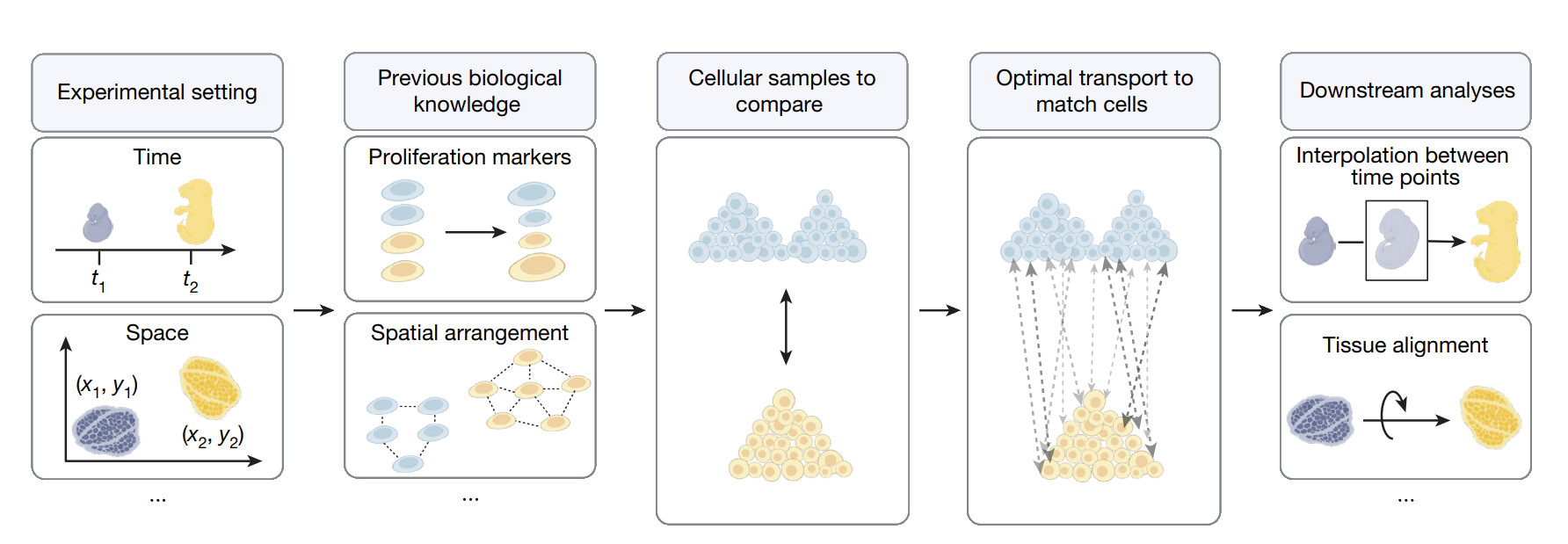MOSCOT conceptual workflow diagram
