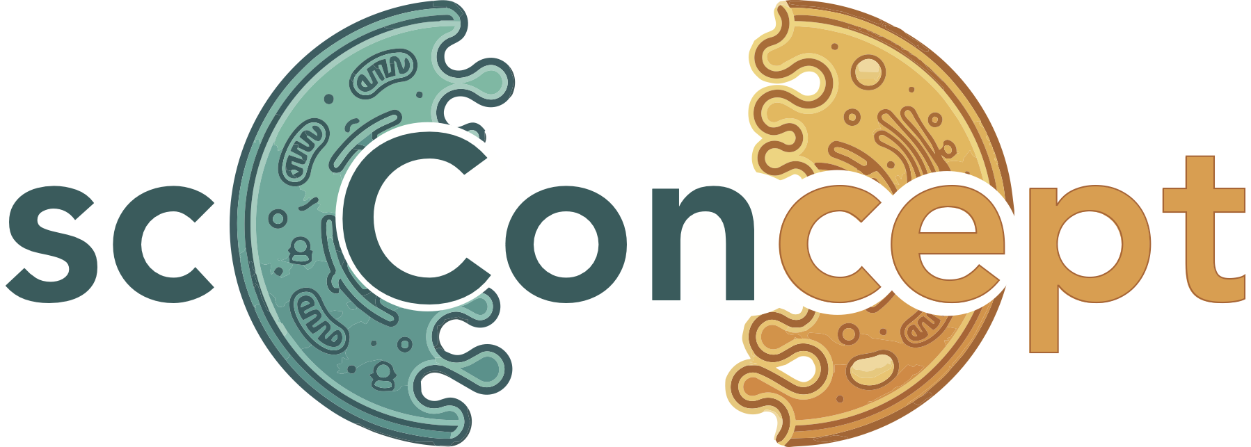 scConcept