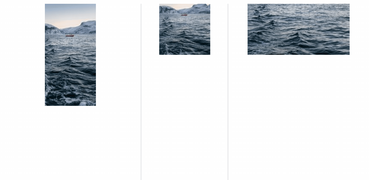 Demonstration of 1 Filter on 3 differently sized images with 40% filter