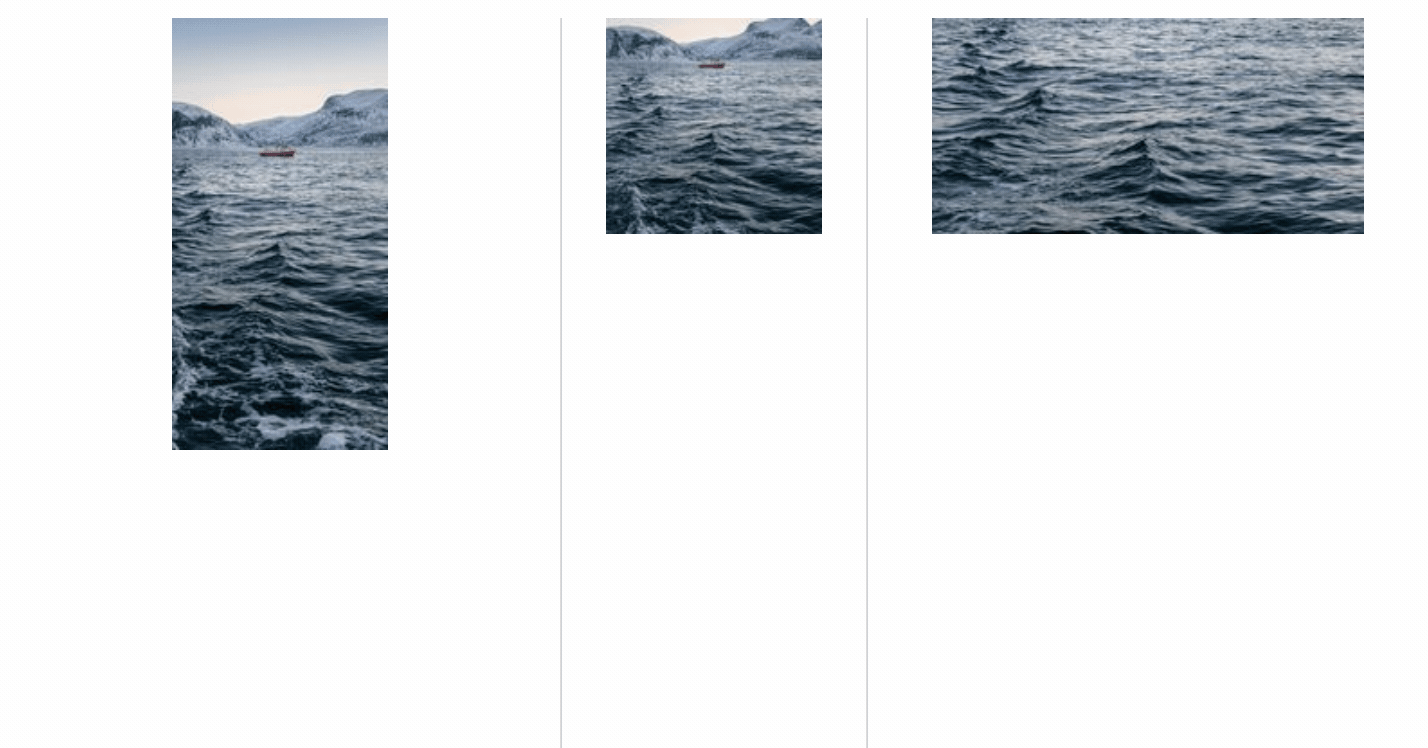 Demonstration of 1 Filter on 3 differently sized images with 50% filter