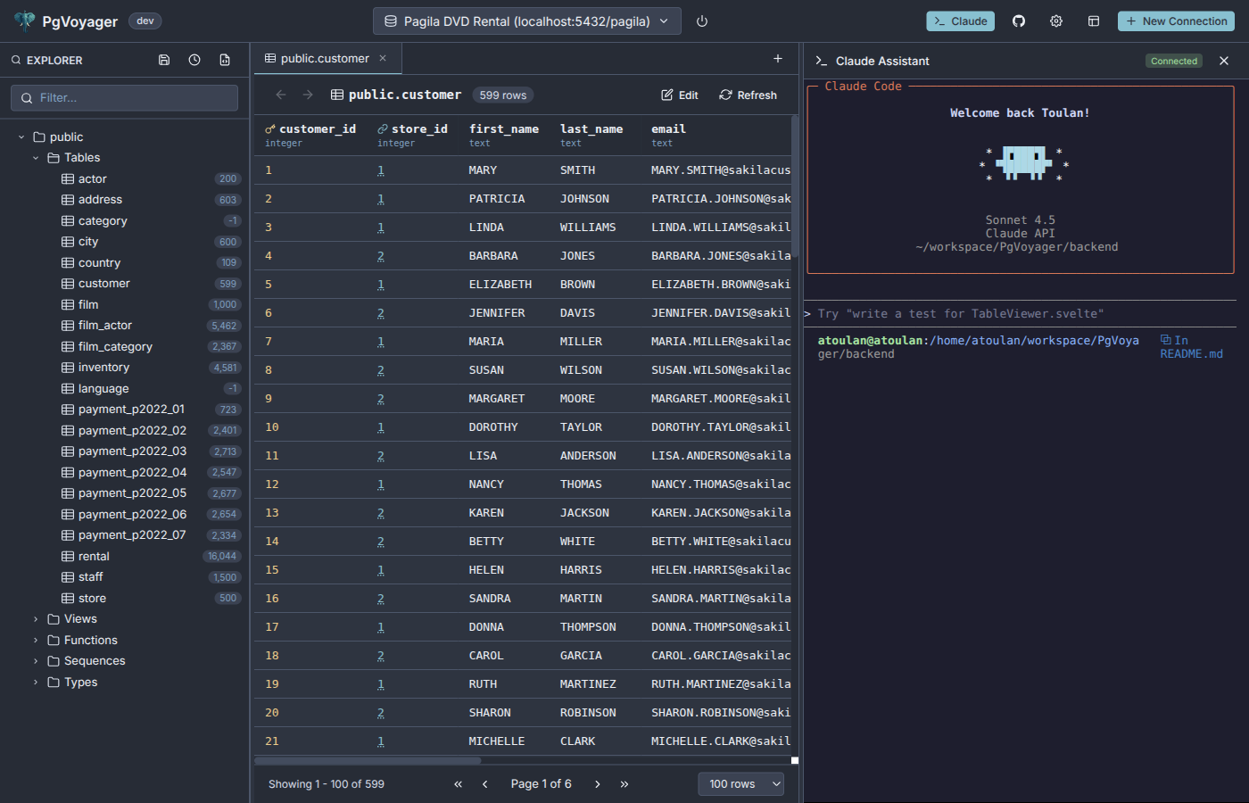 PgVoyager Screenshot