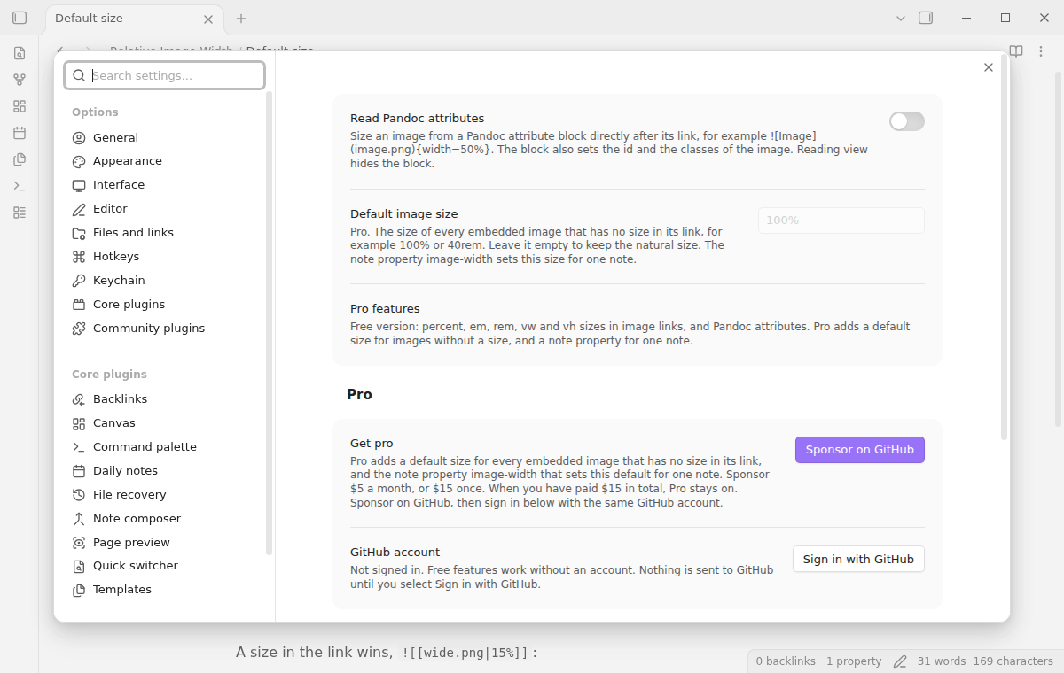 The settings tab with Read Pandoc attributes, the default image size and the Pro section