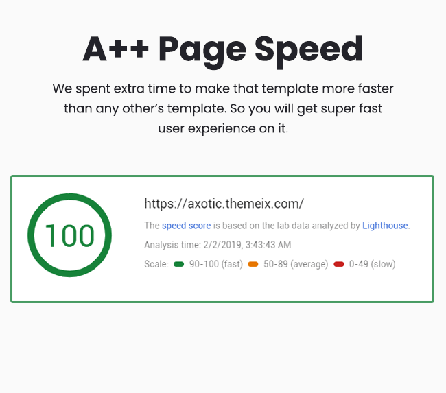 axotic page aaa page speed Themeix