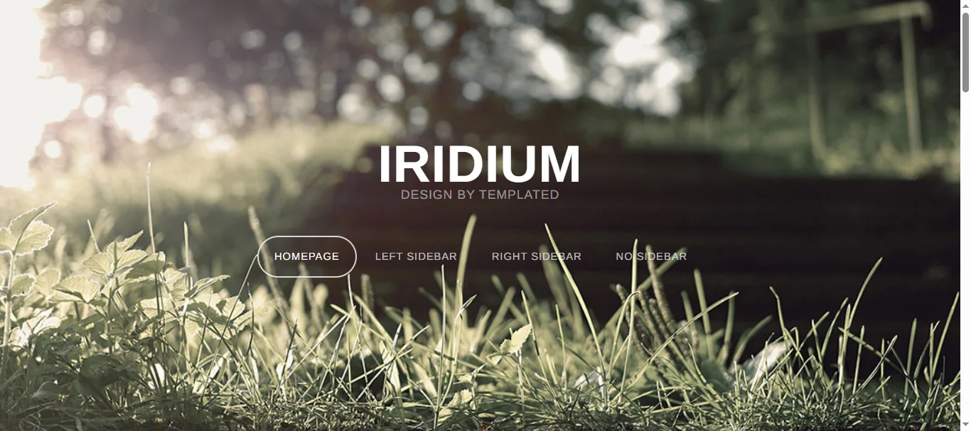 Iridium 