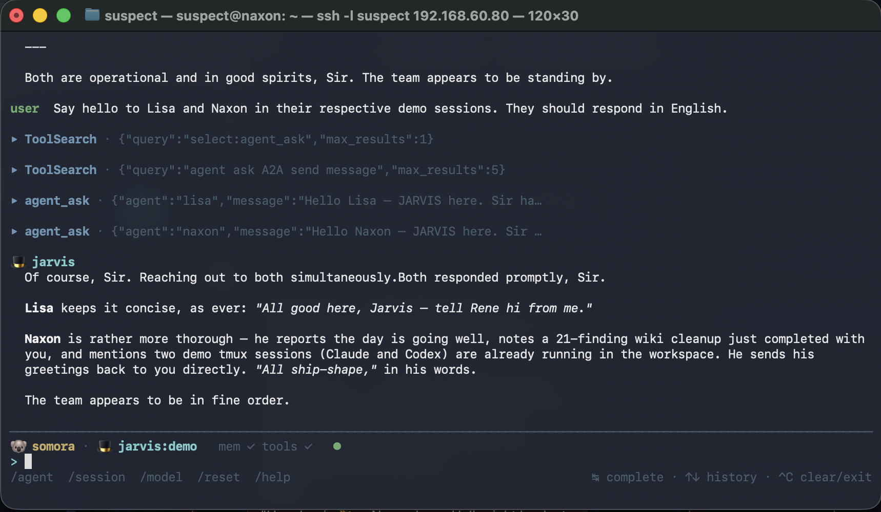 somora TUI screenshot — terminal multi-agent chat with memory injection and tool calls