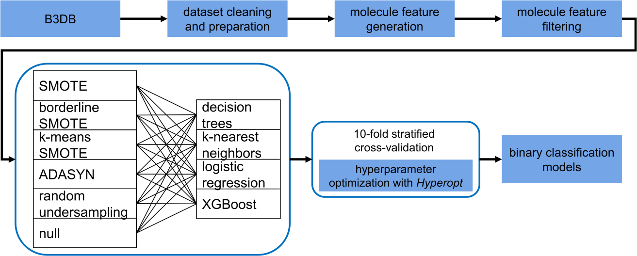 BBB_general_workflow_v4.png