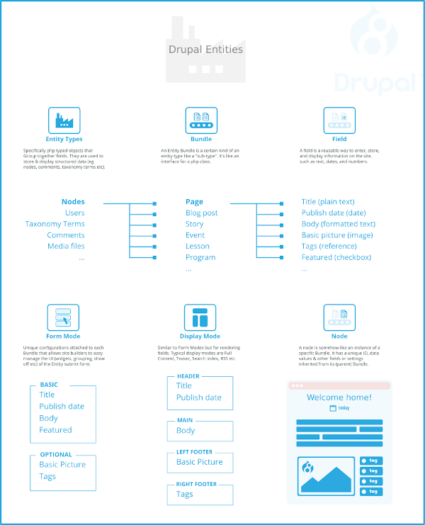 Drupal entities explained