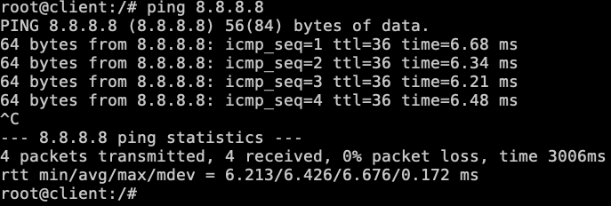ping_8.8.8.8