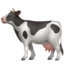 cow2