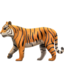 tiger2