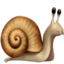 snail