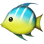 tropical_fish