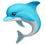 dolphin